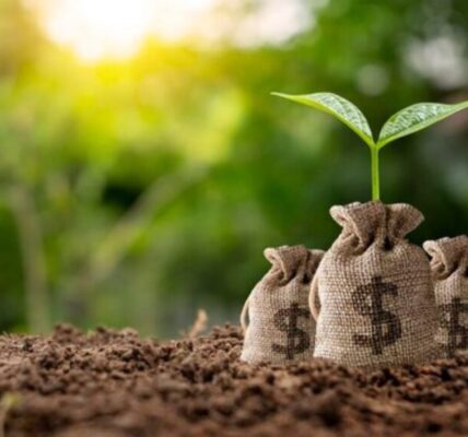 The Ultimate Guide to Investing in 5starsstocks cannabis