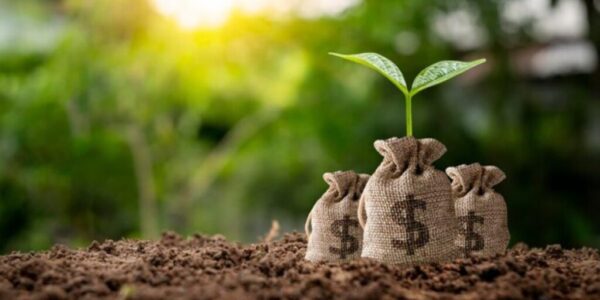 The Ultimate Guide to Investing in 5starsstocks cannabis