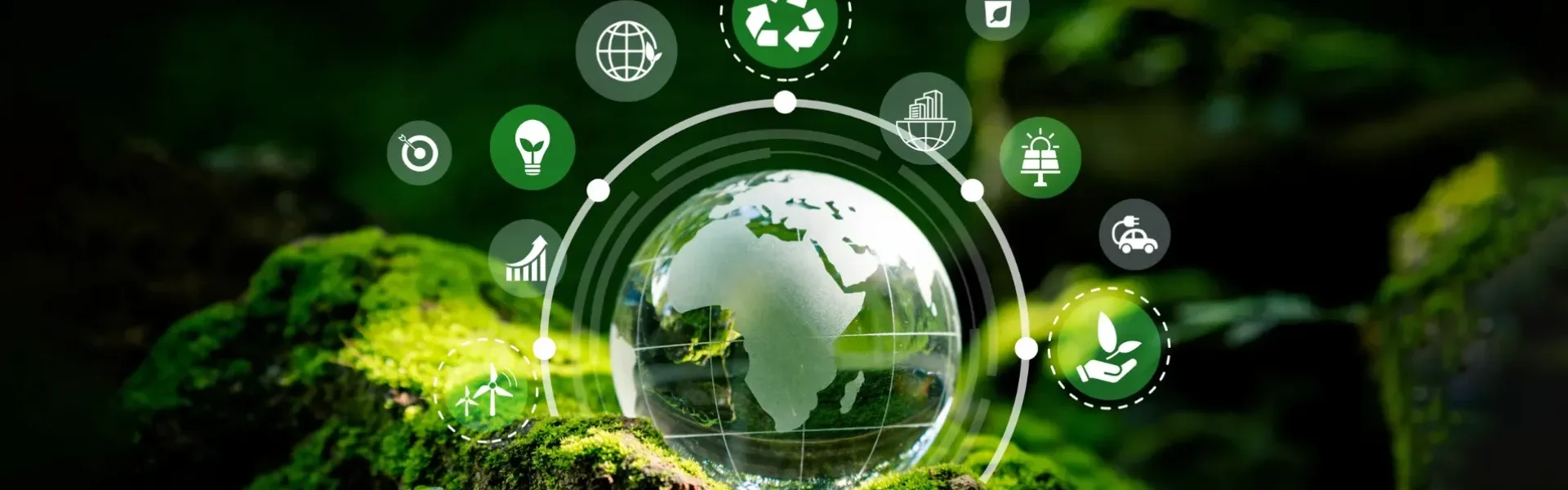A Comprehensive Guide to Implementingtex9.net green it