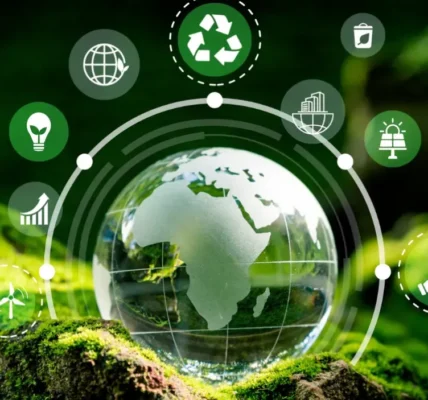 A Comprehensive Guide to Implementingtex9.net green it
