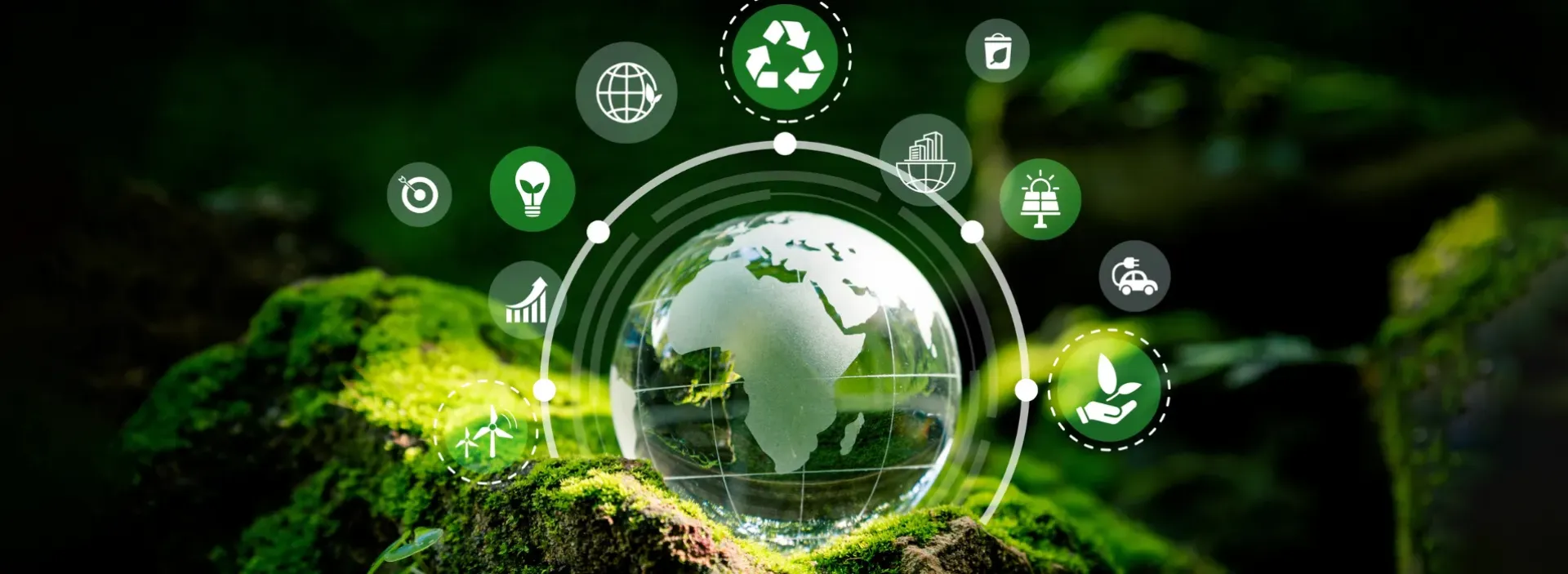 A Comprehensive Guide to Implementingtex9.net green it