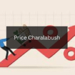 A Comprehensive Guide to Price Charalabush