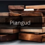 The Ultimate Guide to Getting Started with Plangud