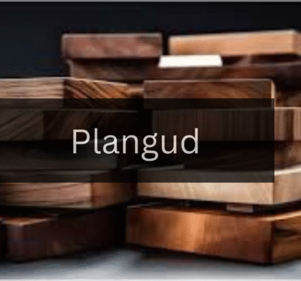 The Ultimate Guide to Getting Started with Plangud