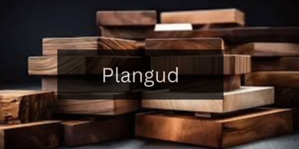 The Ultimate Guide to Getting Started with Plangud