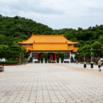 The Ultimate Guide to Xuebaotou Features and Benefits