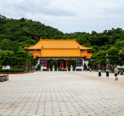 The Ultimate Guide to Xuebaotou Features and Benefits