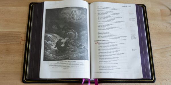 The Ultimate Guide to Understanding Book32