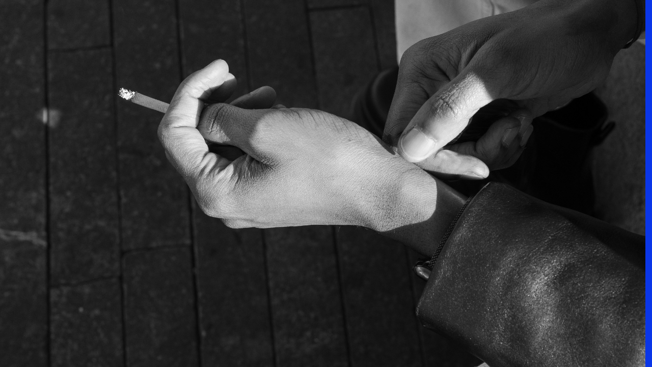 The Complete Guide to Navigating Sangetube Like a Pro