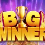 What Is Big Winner Pro and How Does It Work?