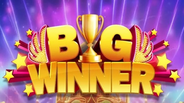 What Is Big Winner Pro and How Does It Work?