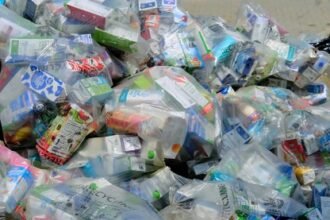 reduce food waste