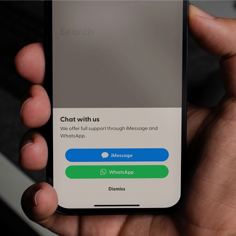 SaaS customer support