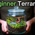 Terrarium