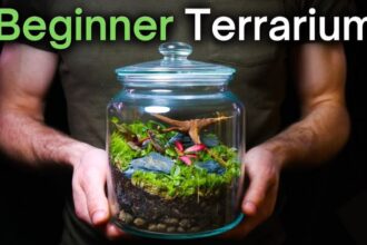 Terrarium