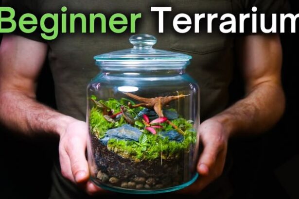 Terrarium