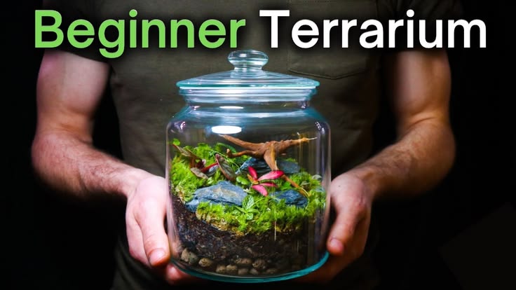 Terrarium