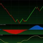 financial markets overview